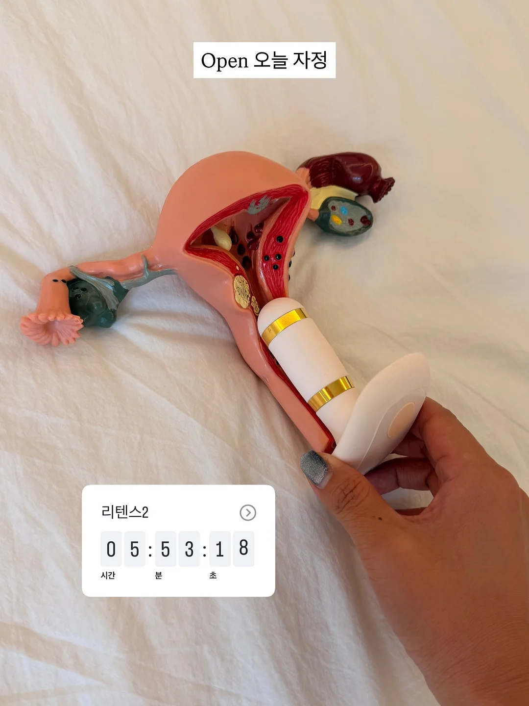 테리 가든 후드집업 1