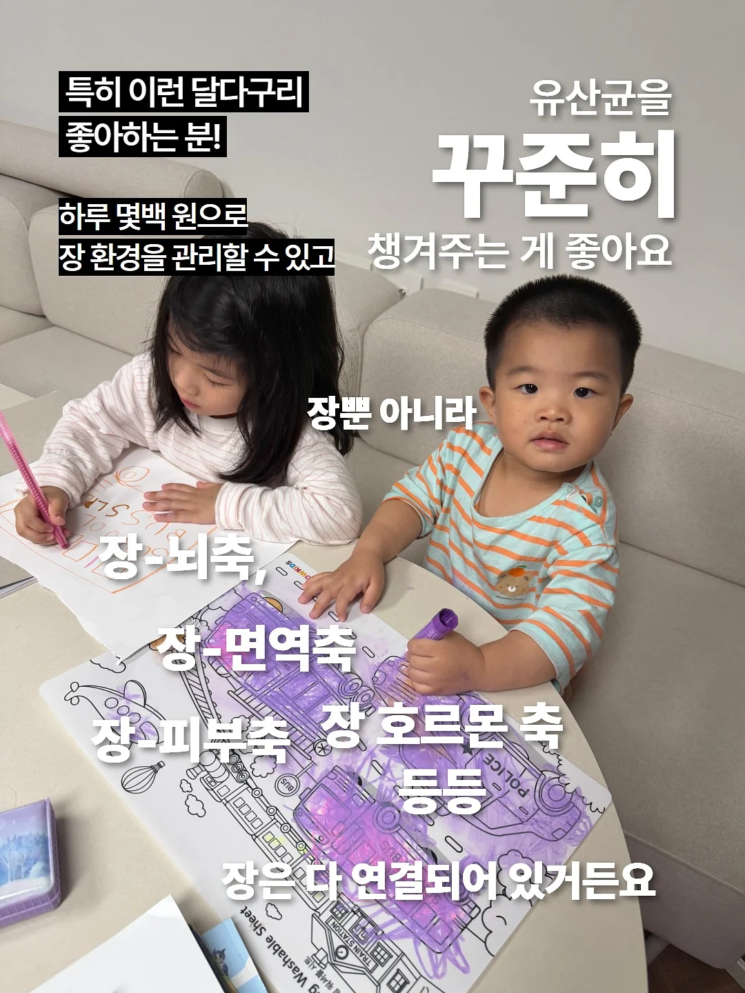 따꼬 행주 6