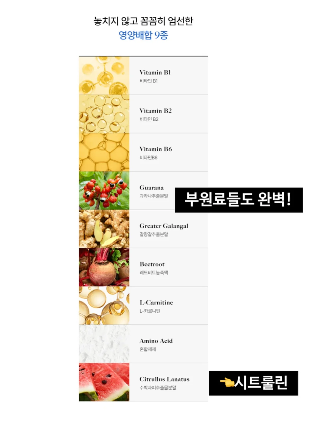4종 케이크 클래스 9