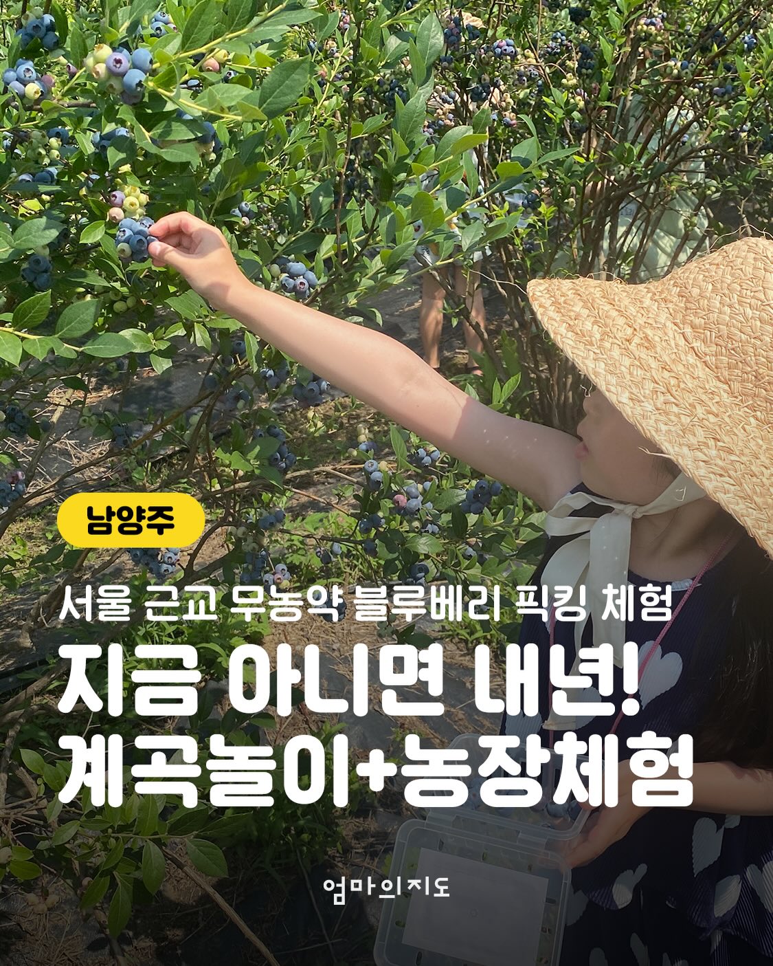 바이컬러 데즈 미백 바디로션 1