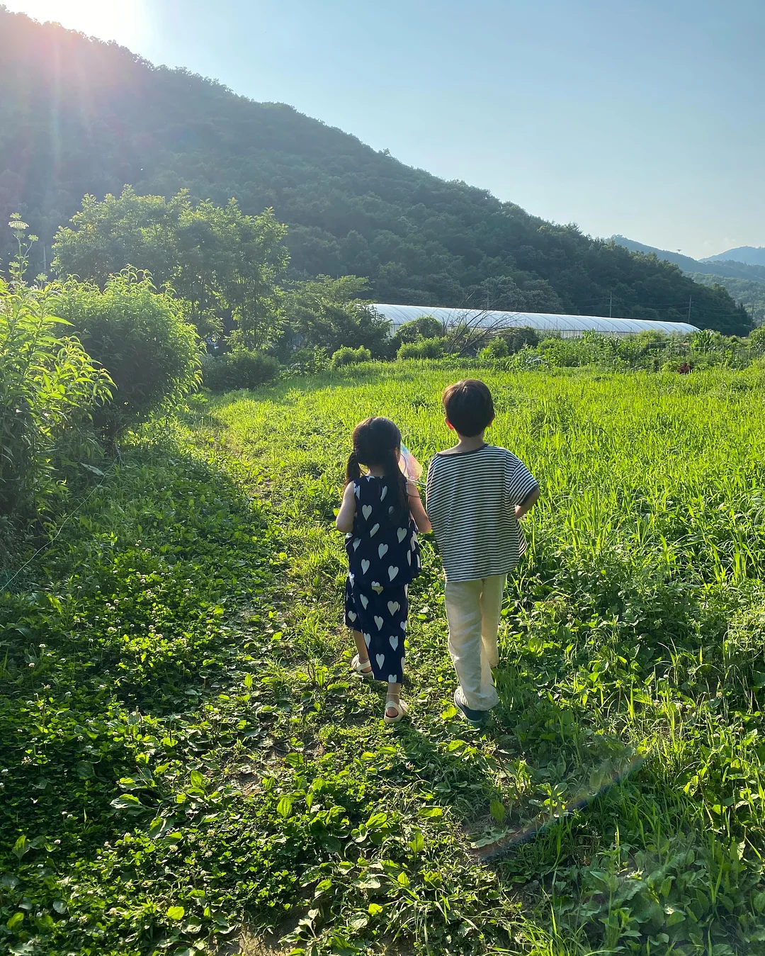 바이컬러 데즈 미백 바디로션 10