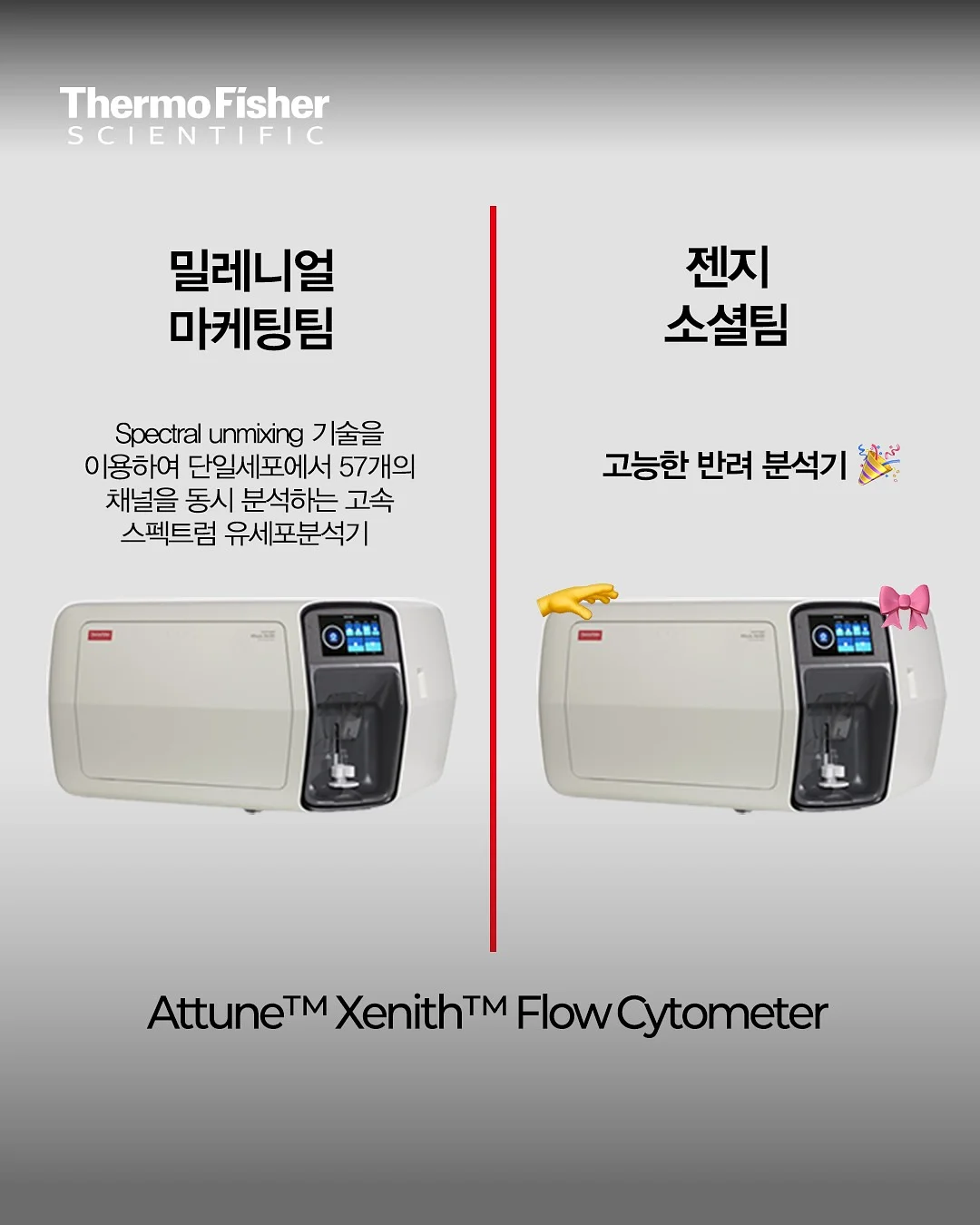 투크 윗아웃 미러 립틴트 기획세트 3