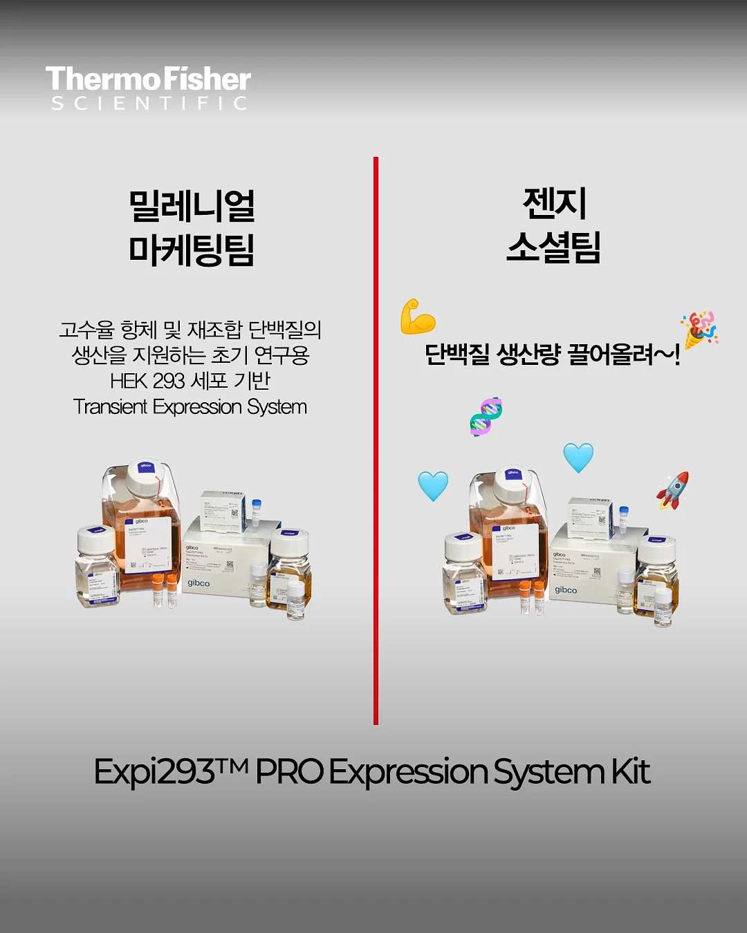 투크 윗아웃 미러 립틴트 기획세트 4