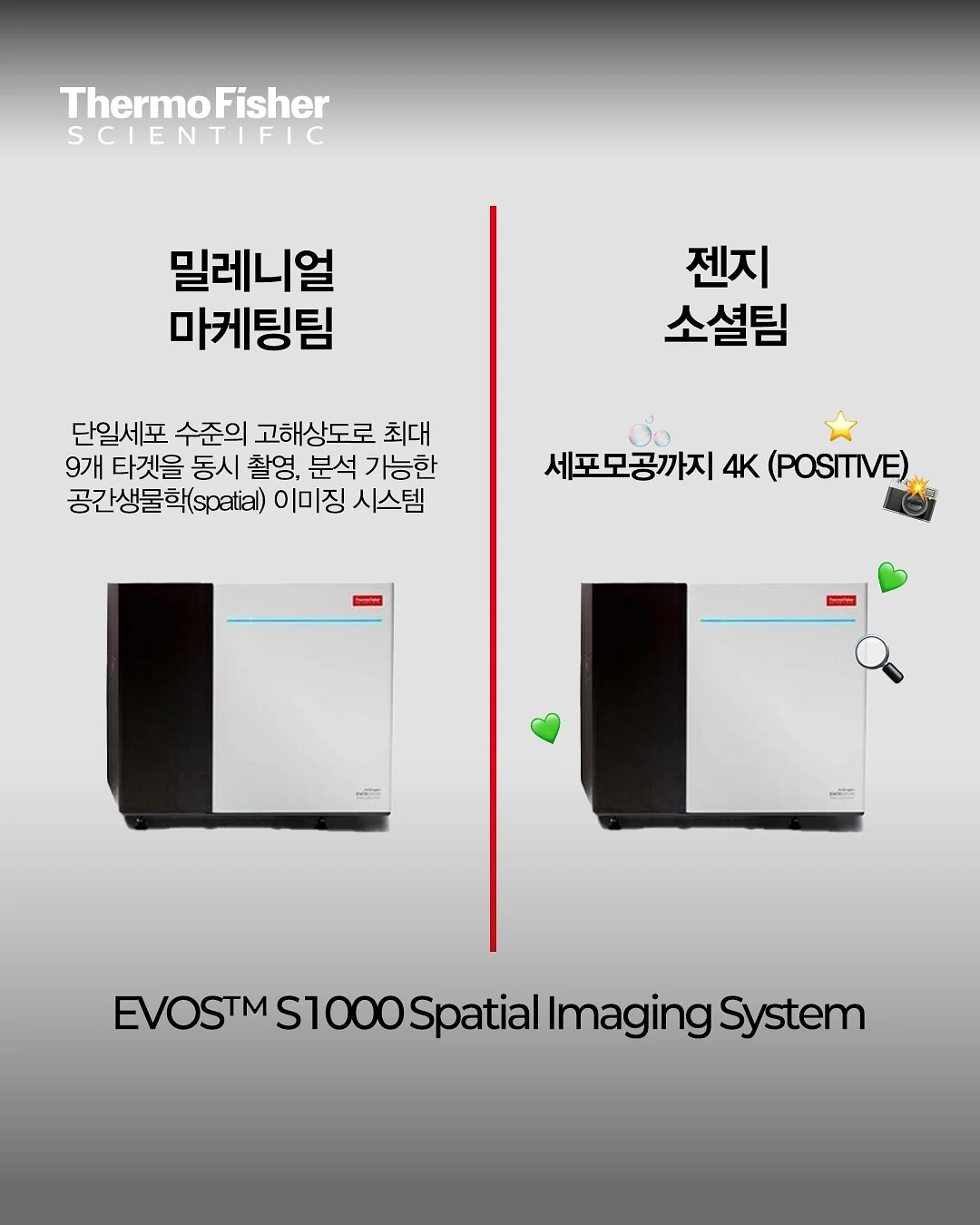 투크 윗아웃 미러 립틴트 기획세트 5