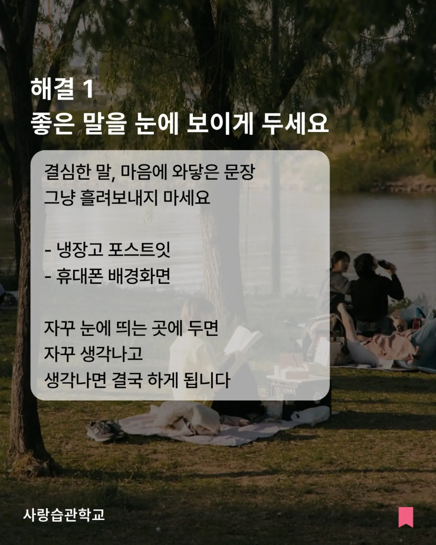 NON 논알콜 음료 4