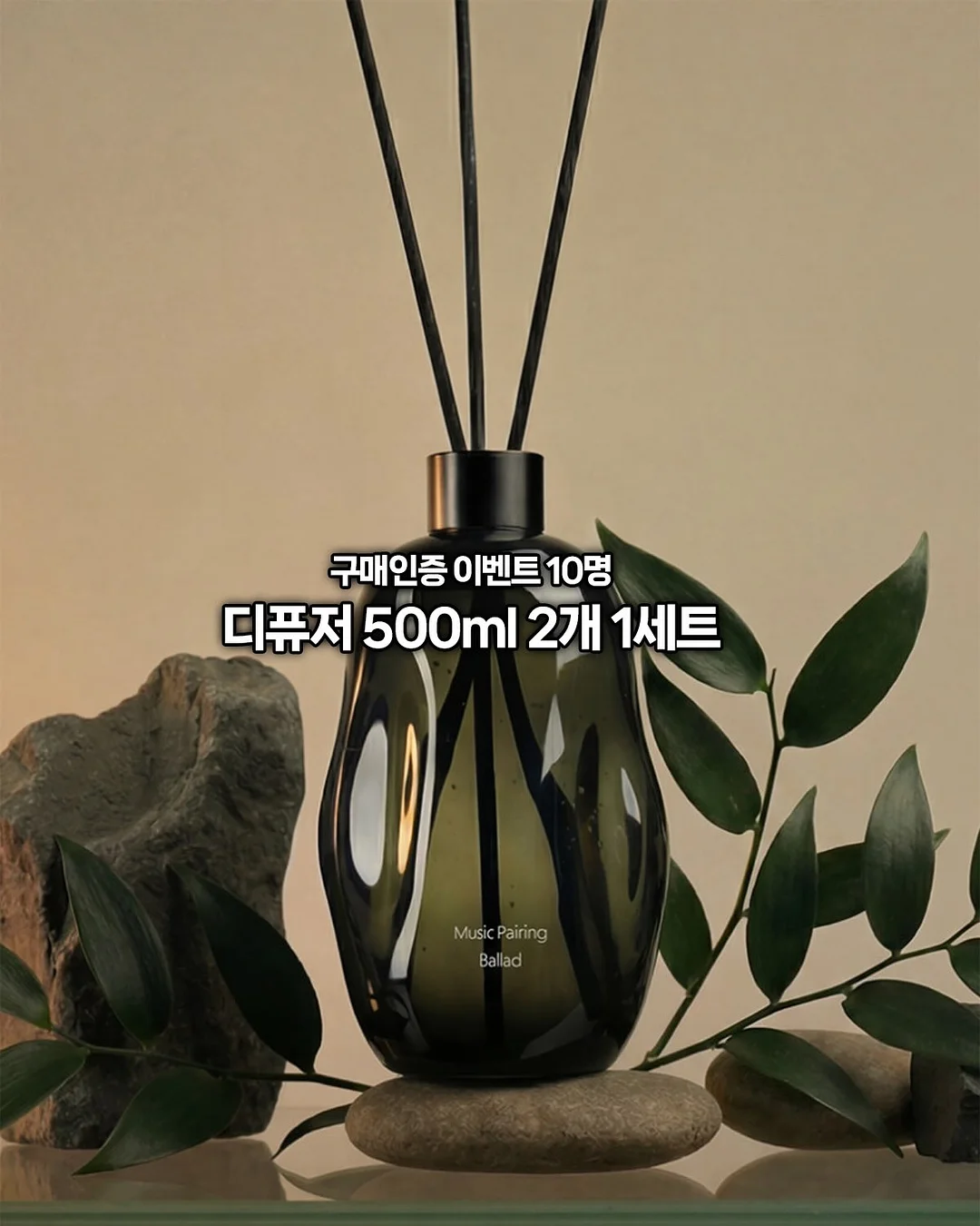 장패드 10