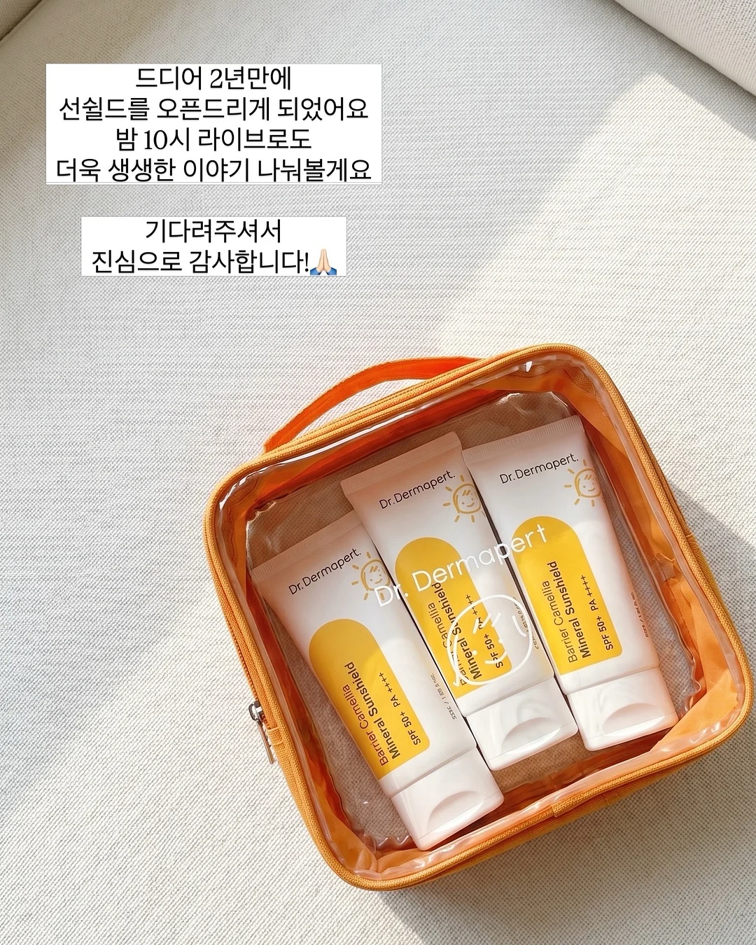 릴스 제작 11