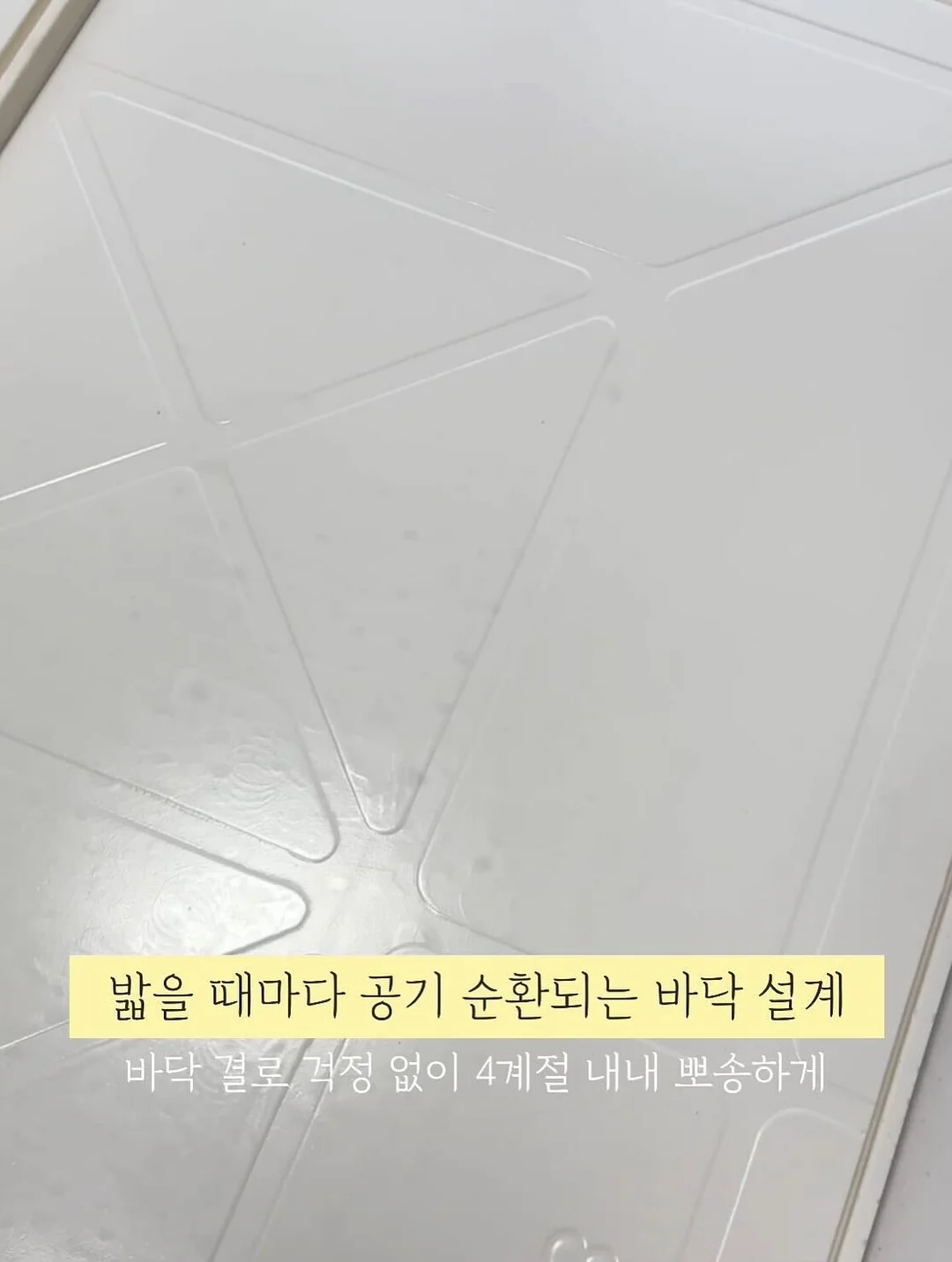 승용 스쿠터 4