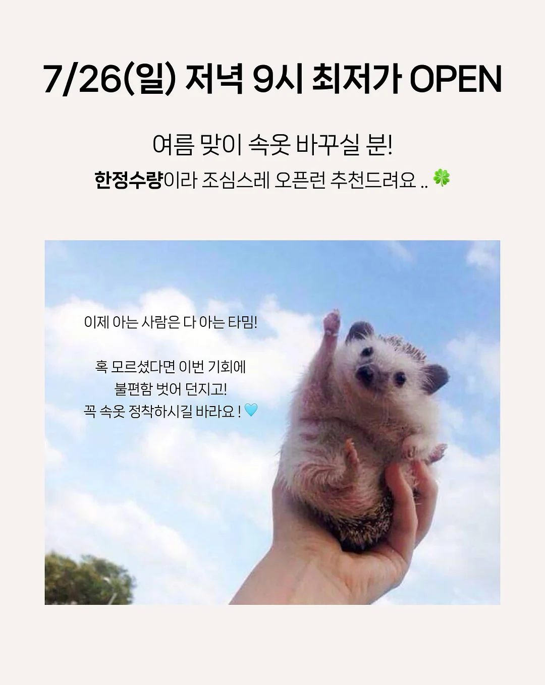 피스타치오 아이스크림 12