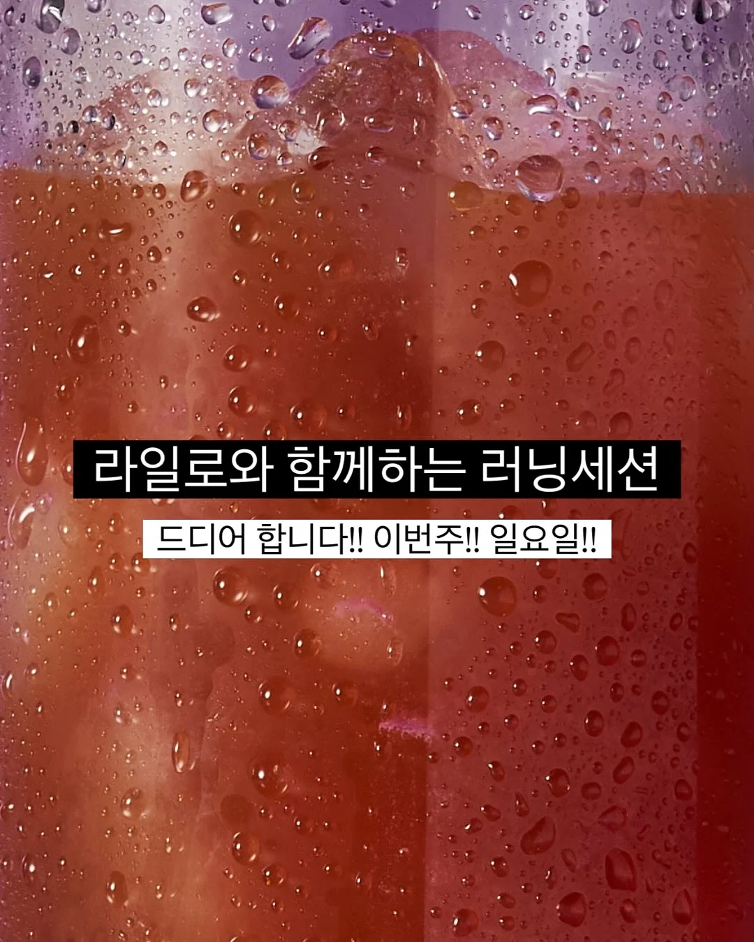 호성이과메기 2
