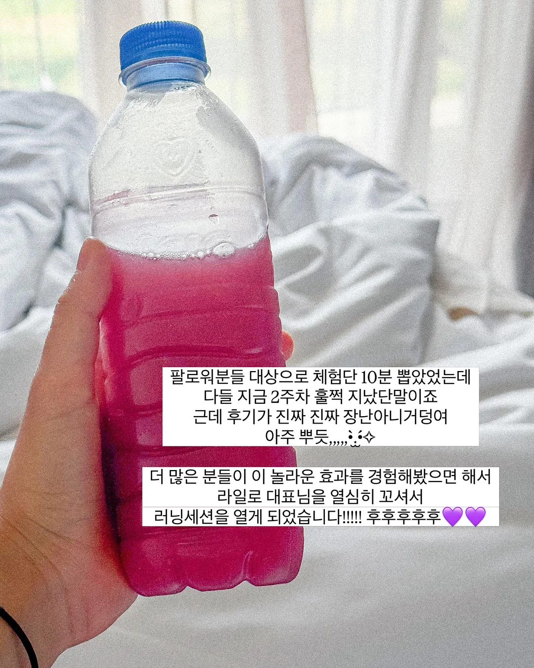 호성이과메기 4