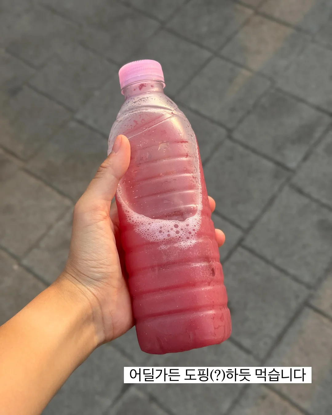 호성이과메기 6