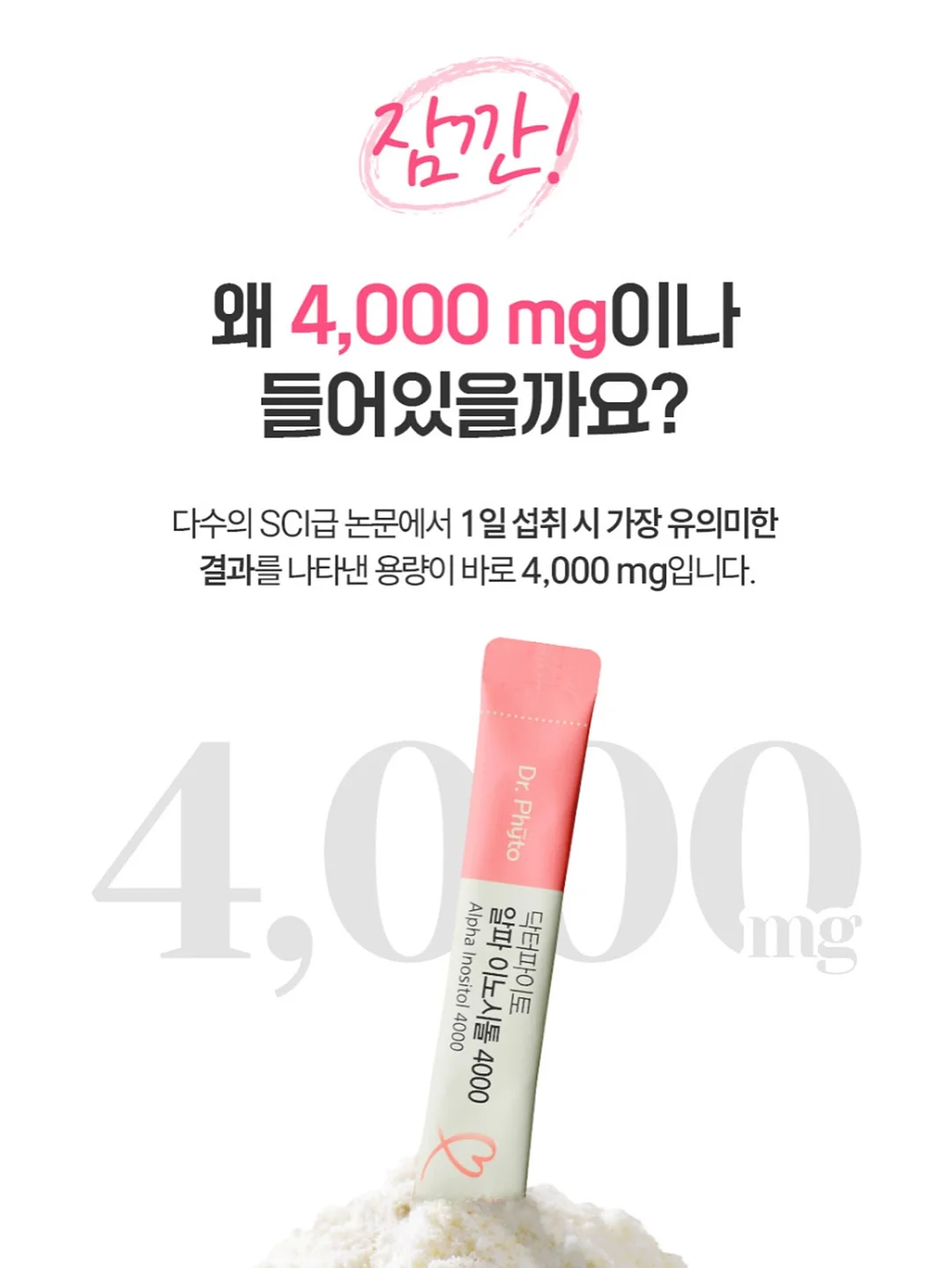 춘식이 도시락 시리즈 13