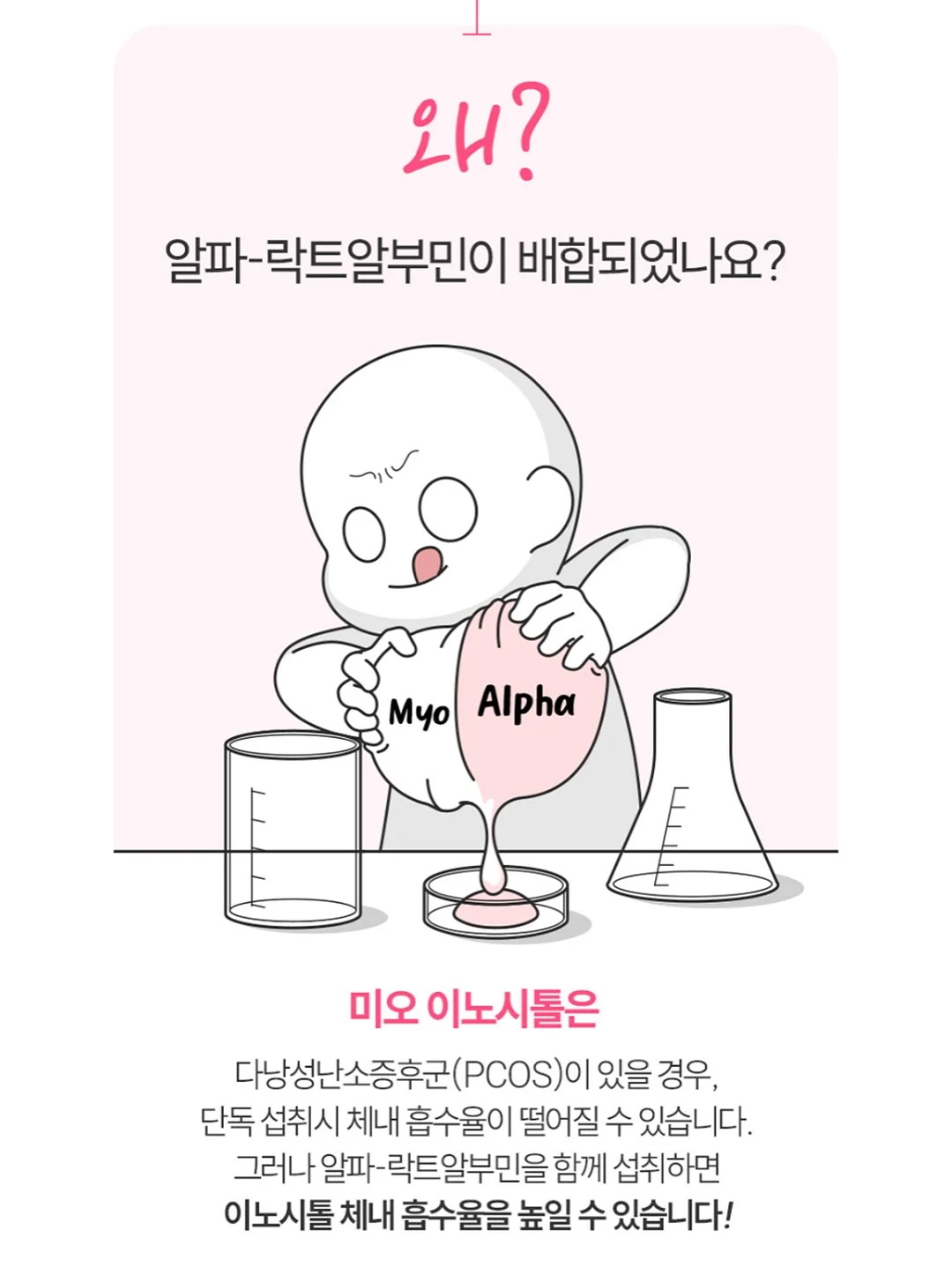 춘식이 도시락 시리즈 15