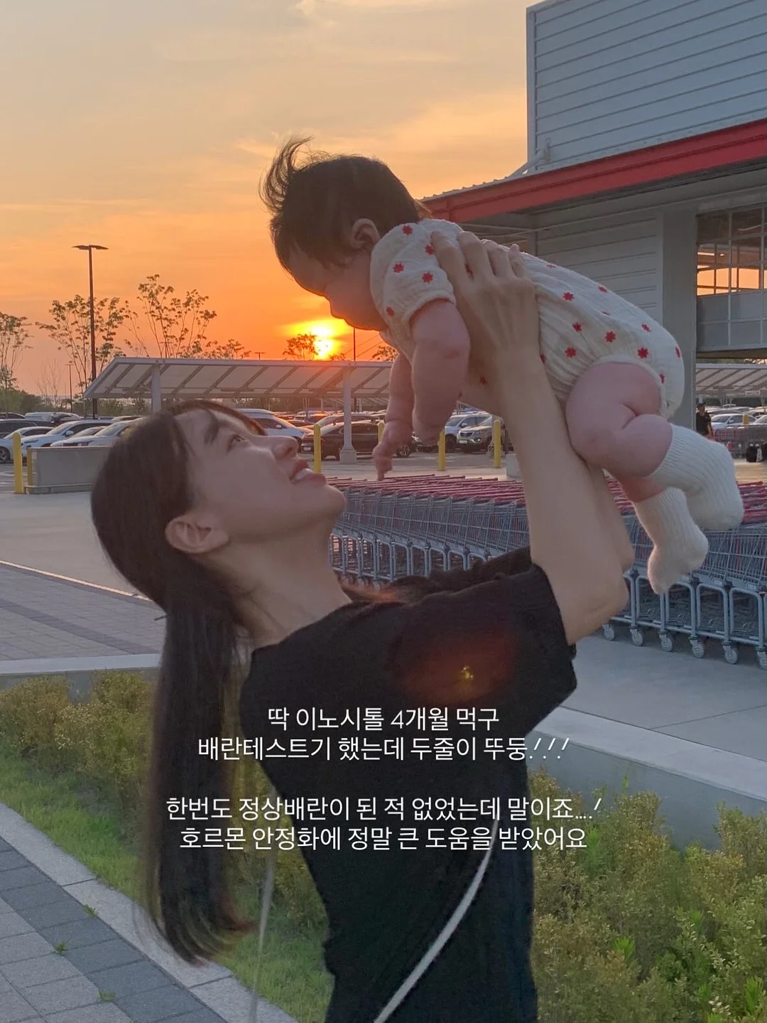 춘식이 도시락 시리즈 6
