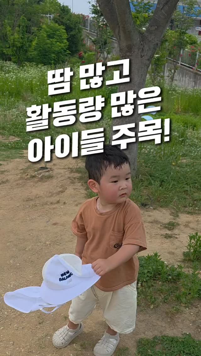 흡착걸이