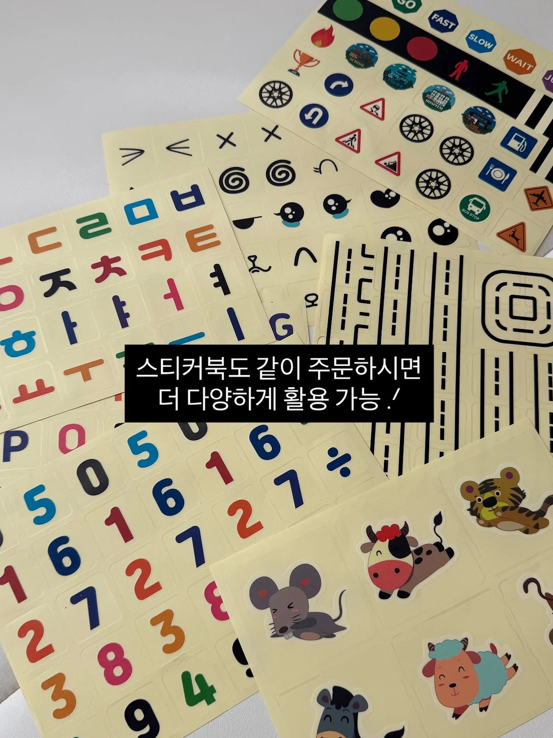 알라딘 팬츠 12