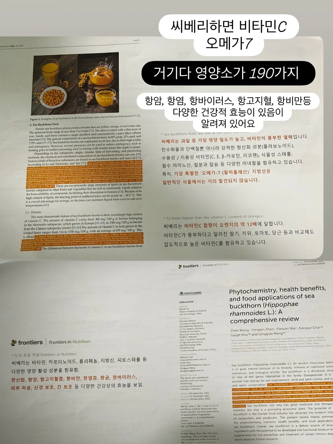 아벨티 선세럼 2종 13