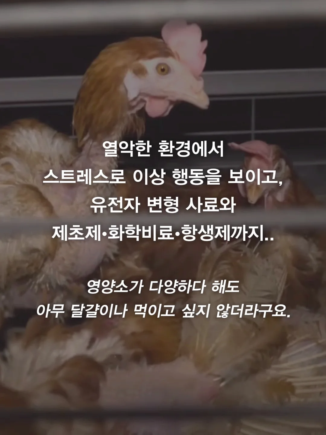 사각꽂이 5