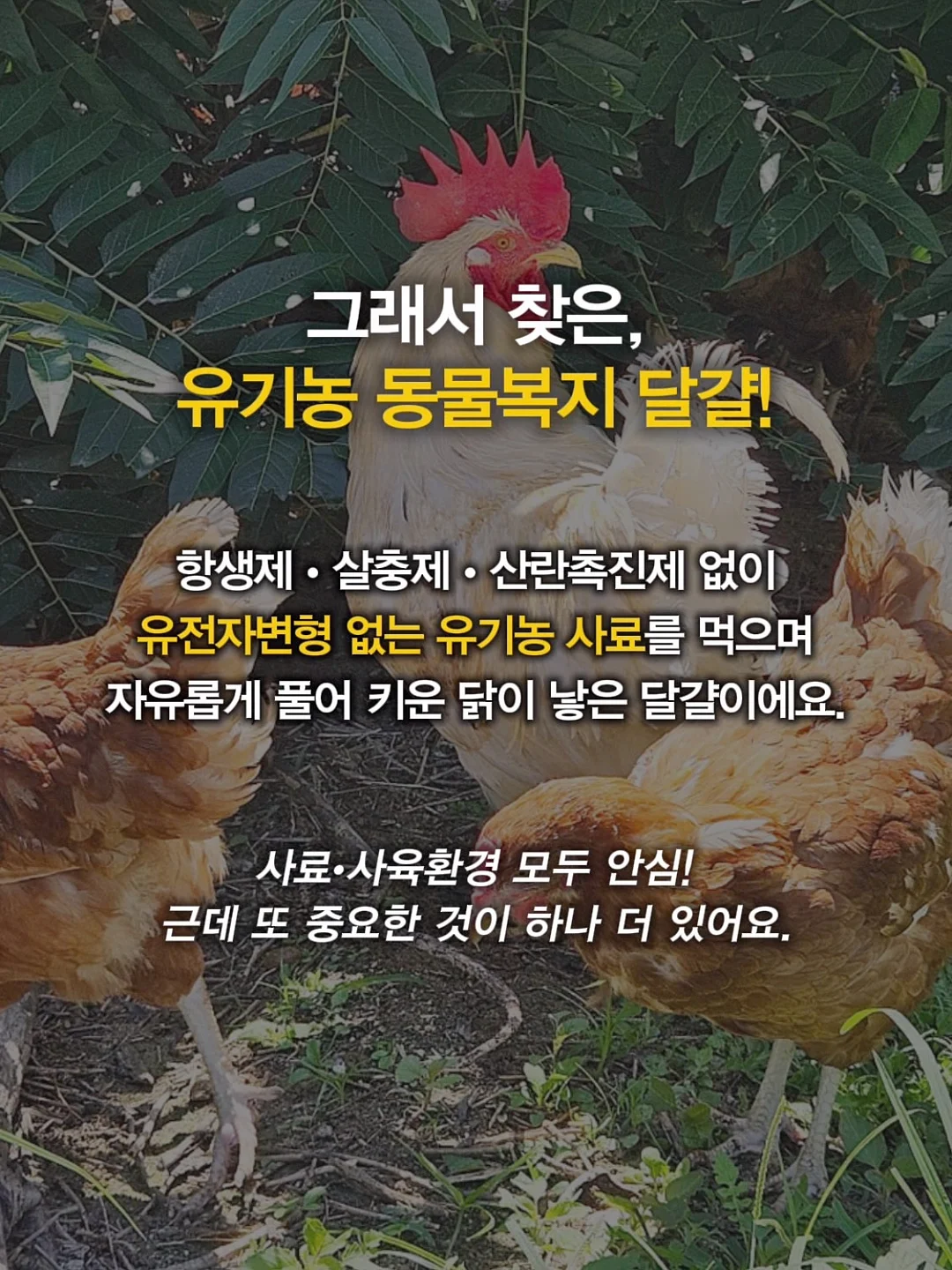 사각꽂이 6