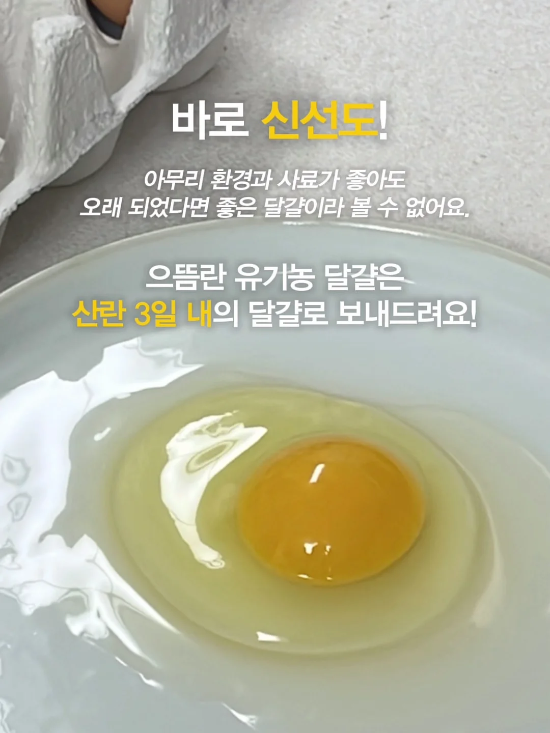 사각꽂이 7