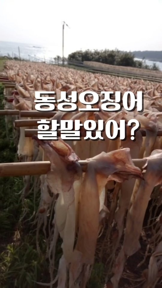 멜리플루어스 반려견 동반 단독 공간