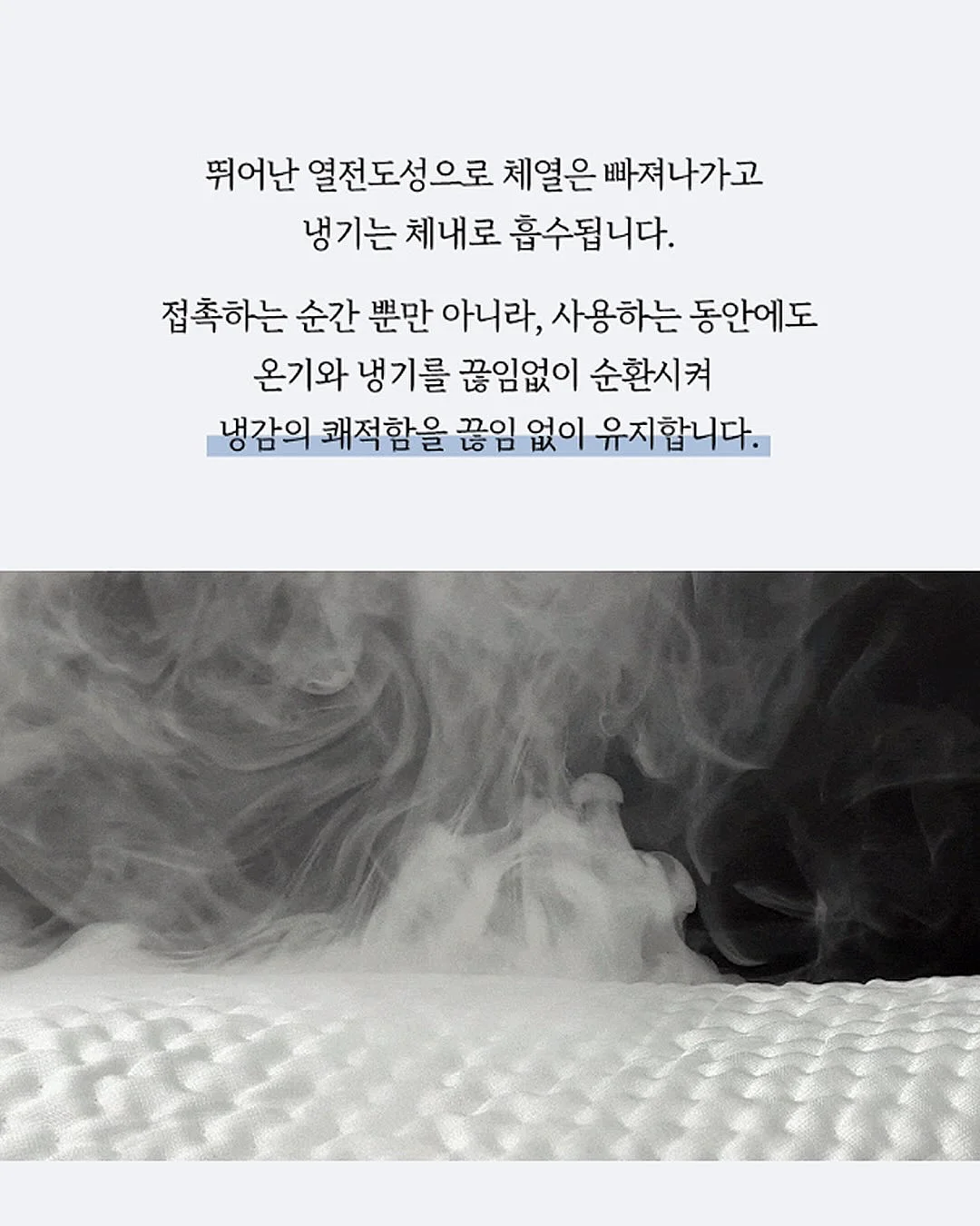 속초 난전 오징어 5