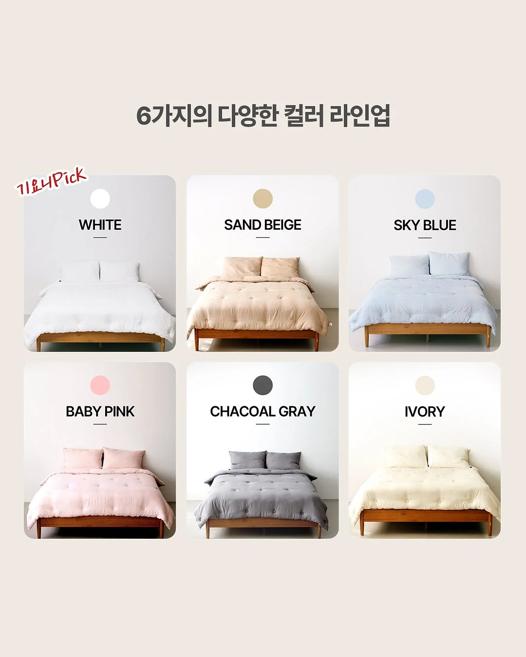 속초 난전 오징어 9