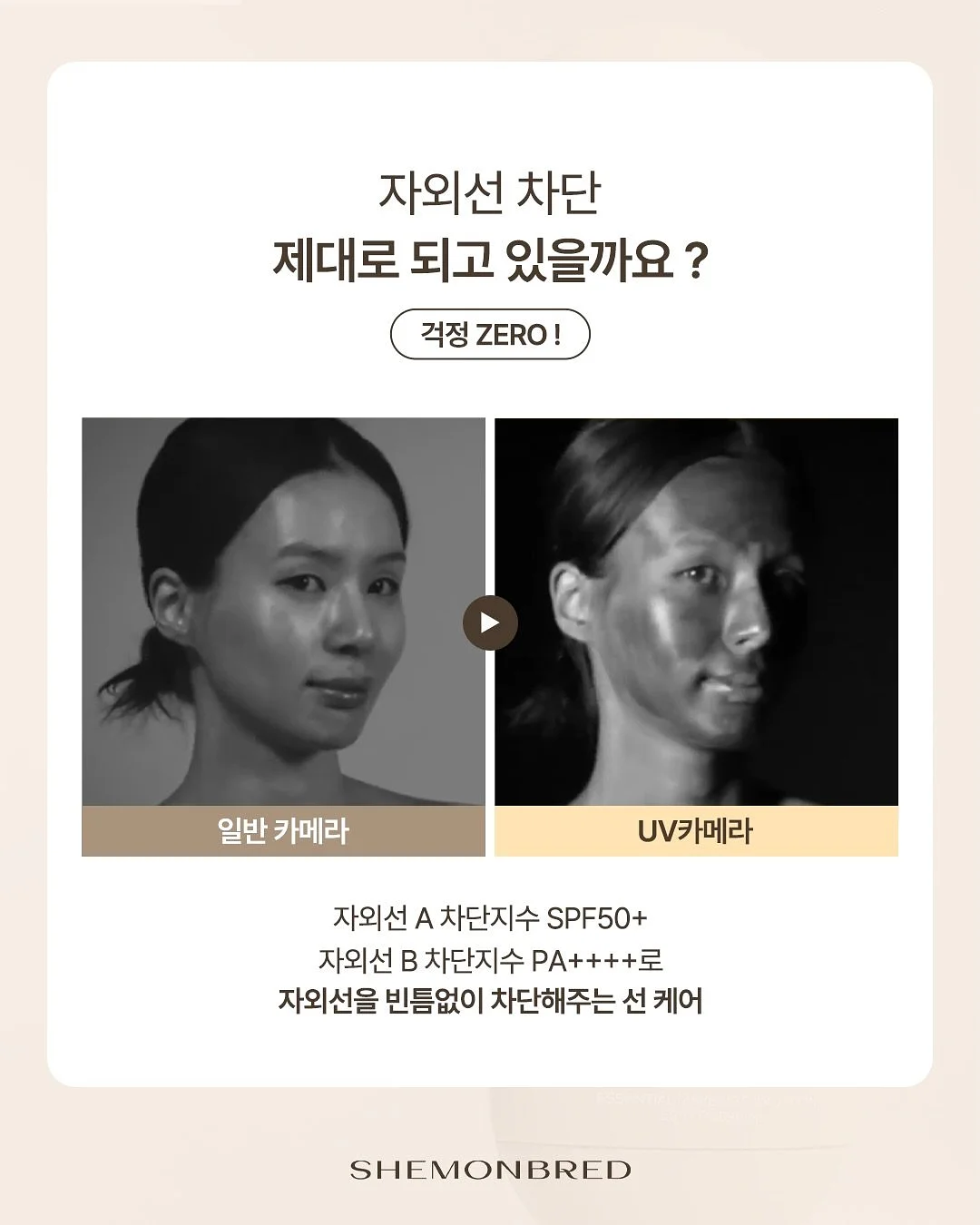 태기스 태그호스 애착인형 진저 5