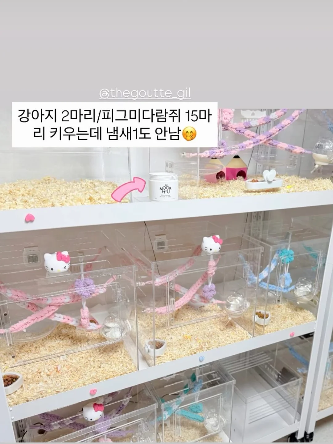 절개 4부 반바지 2