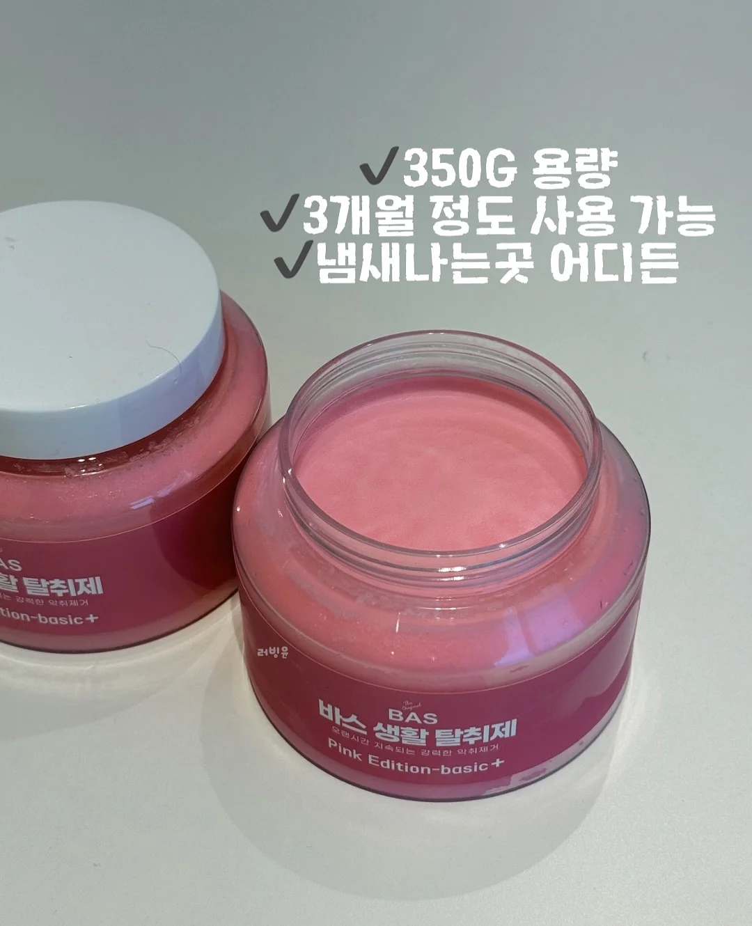 쿠키 과일 도시락 2