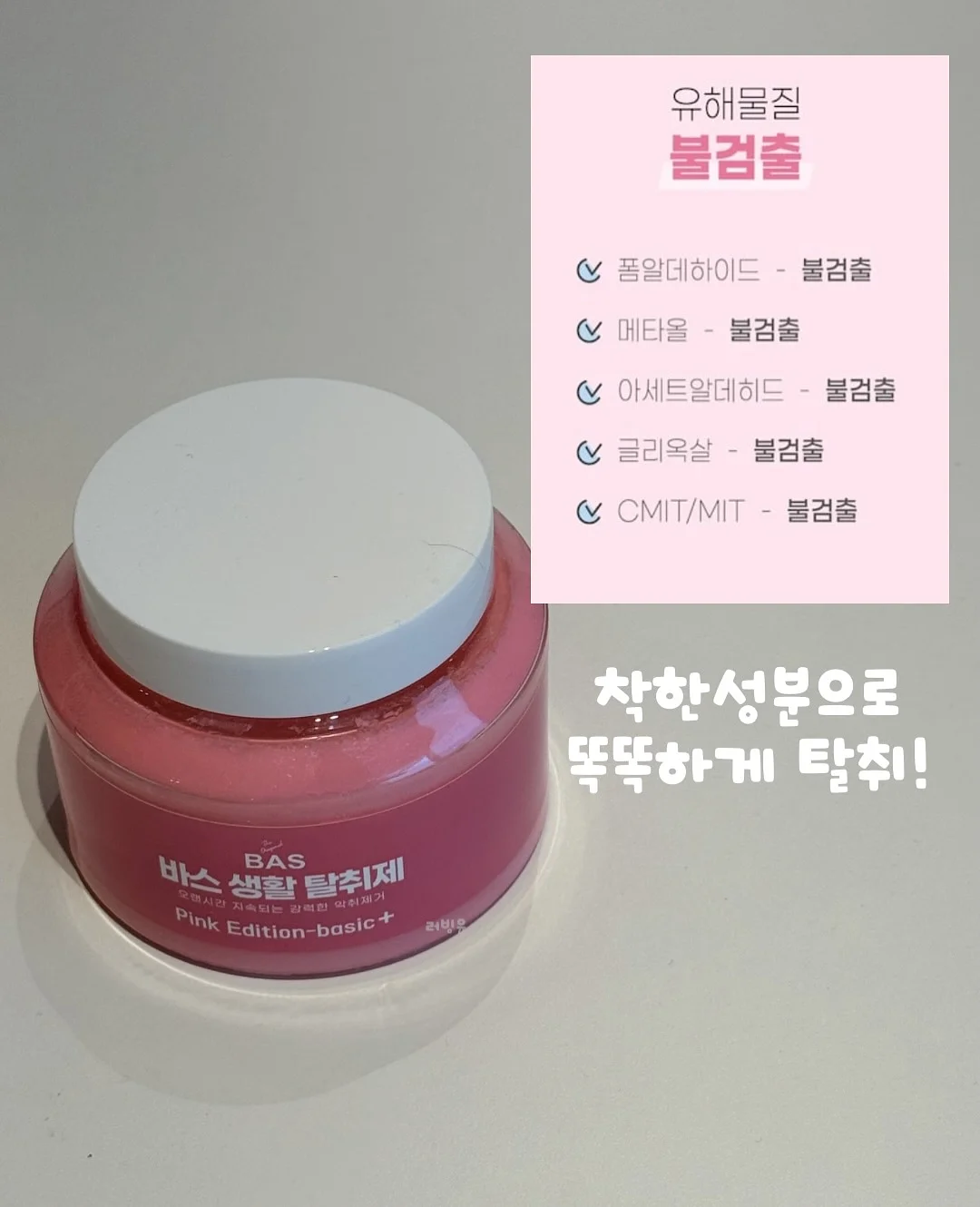 쿠키 과일 도시락 4
