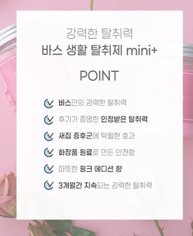 쿠키 과일 도시락 5