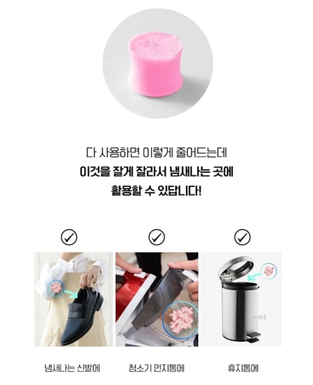 쿠키 과일 도시락 10