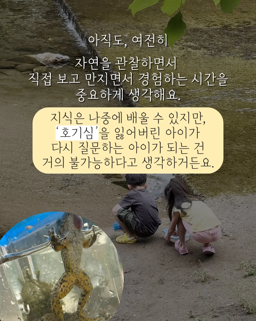 온라인 수익 시스템 5