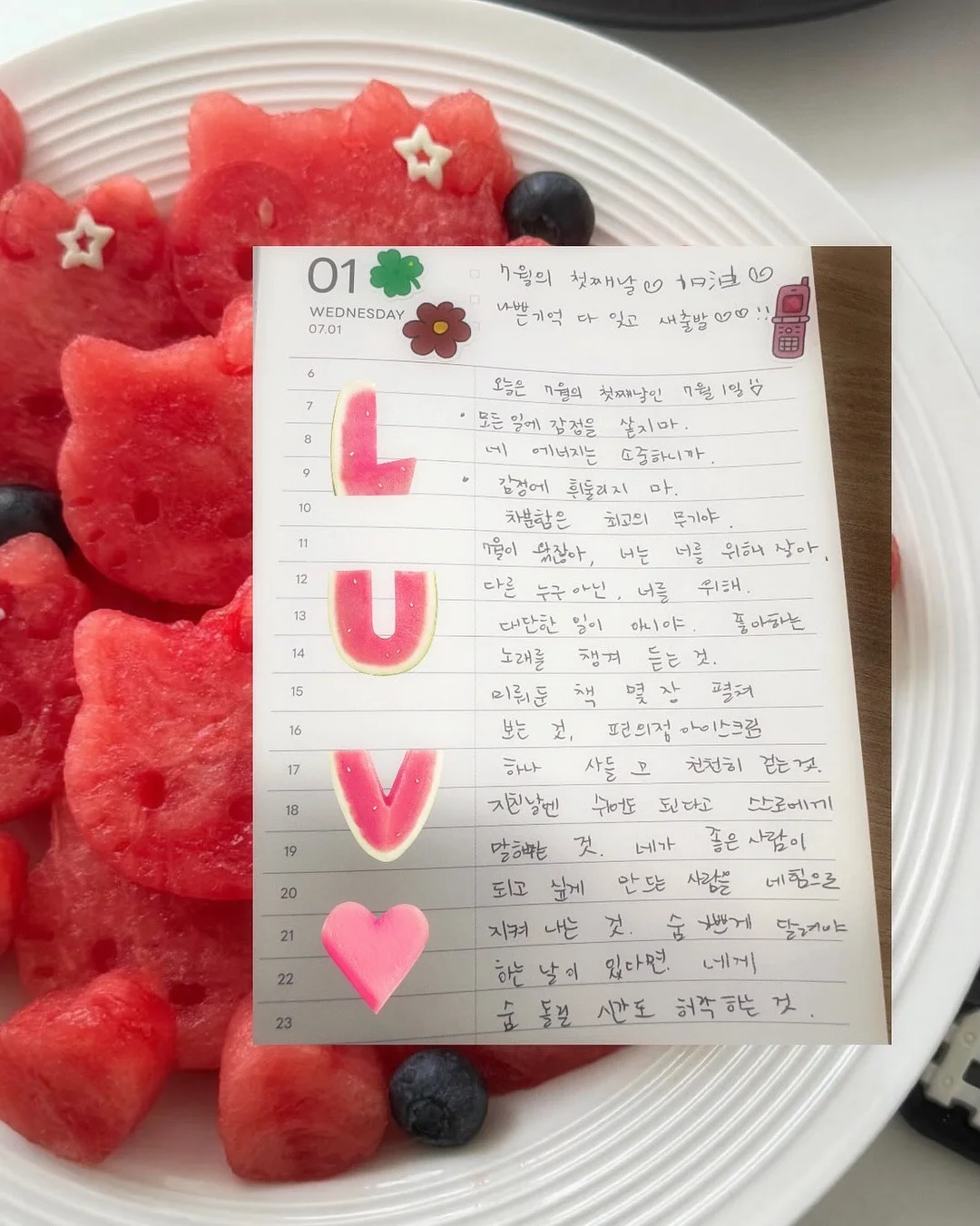 노피 미니후드 1