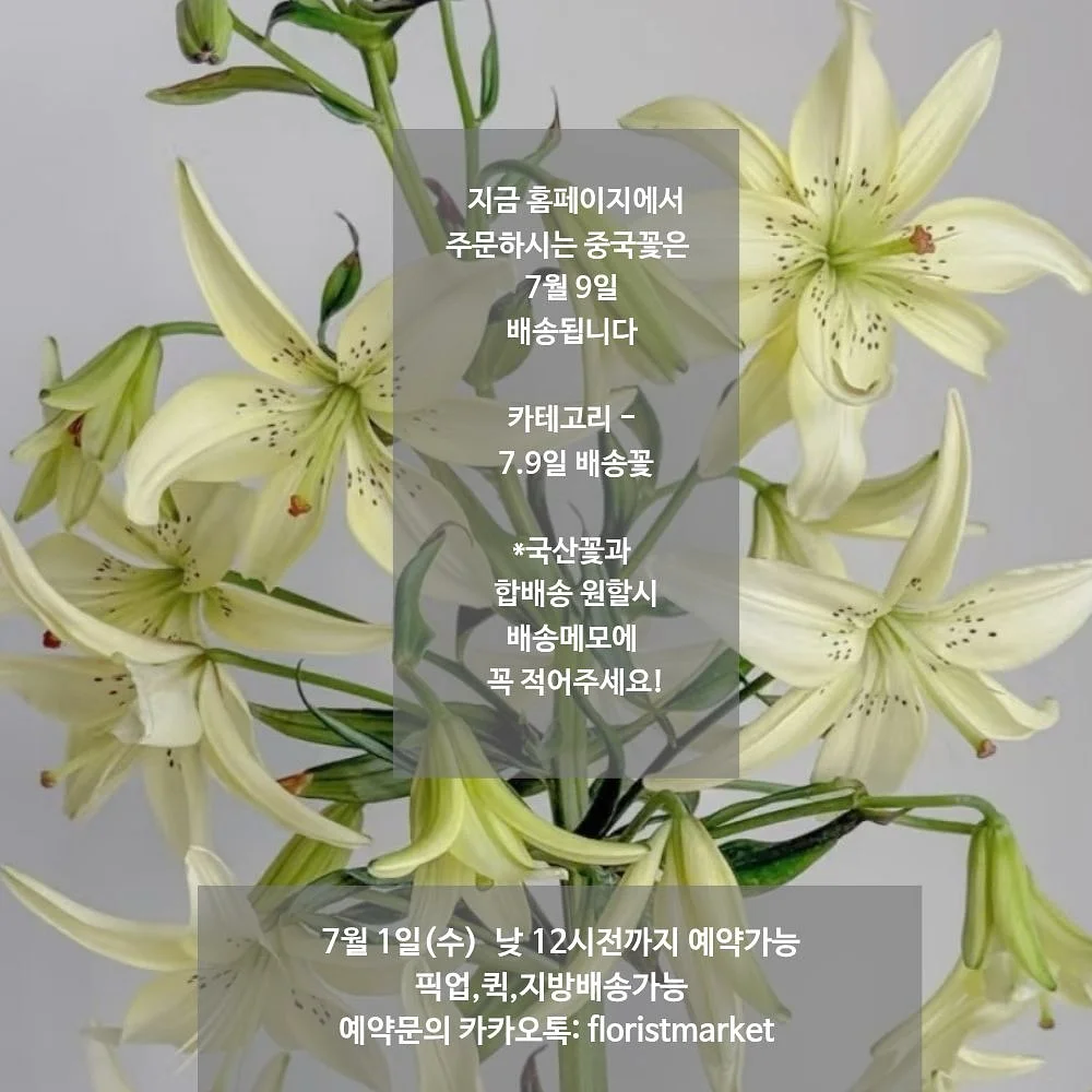 파베 생 초콜릿 케이크 1호 2