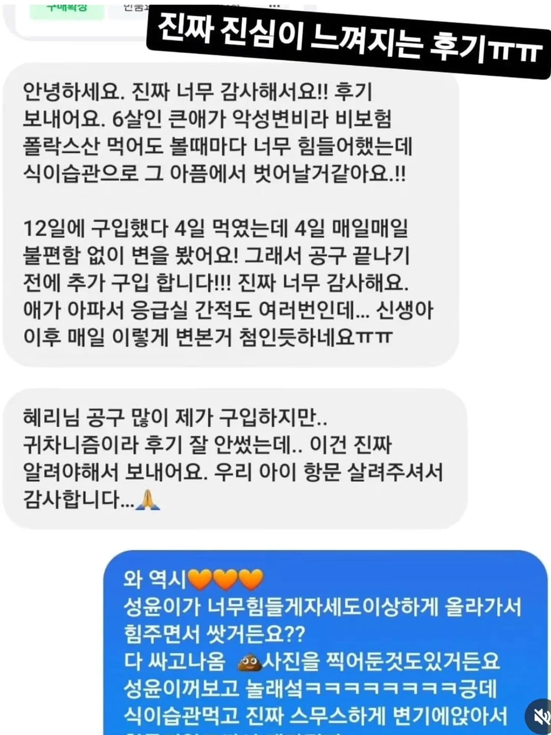 음식 덮개 9