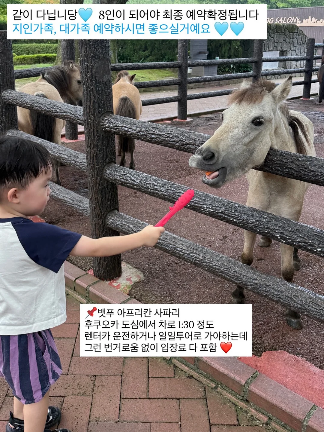 핑크젤리 네일 아트 6
