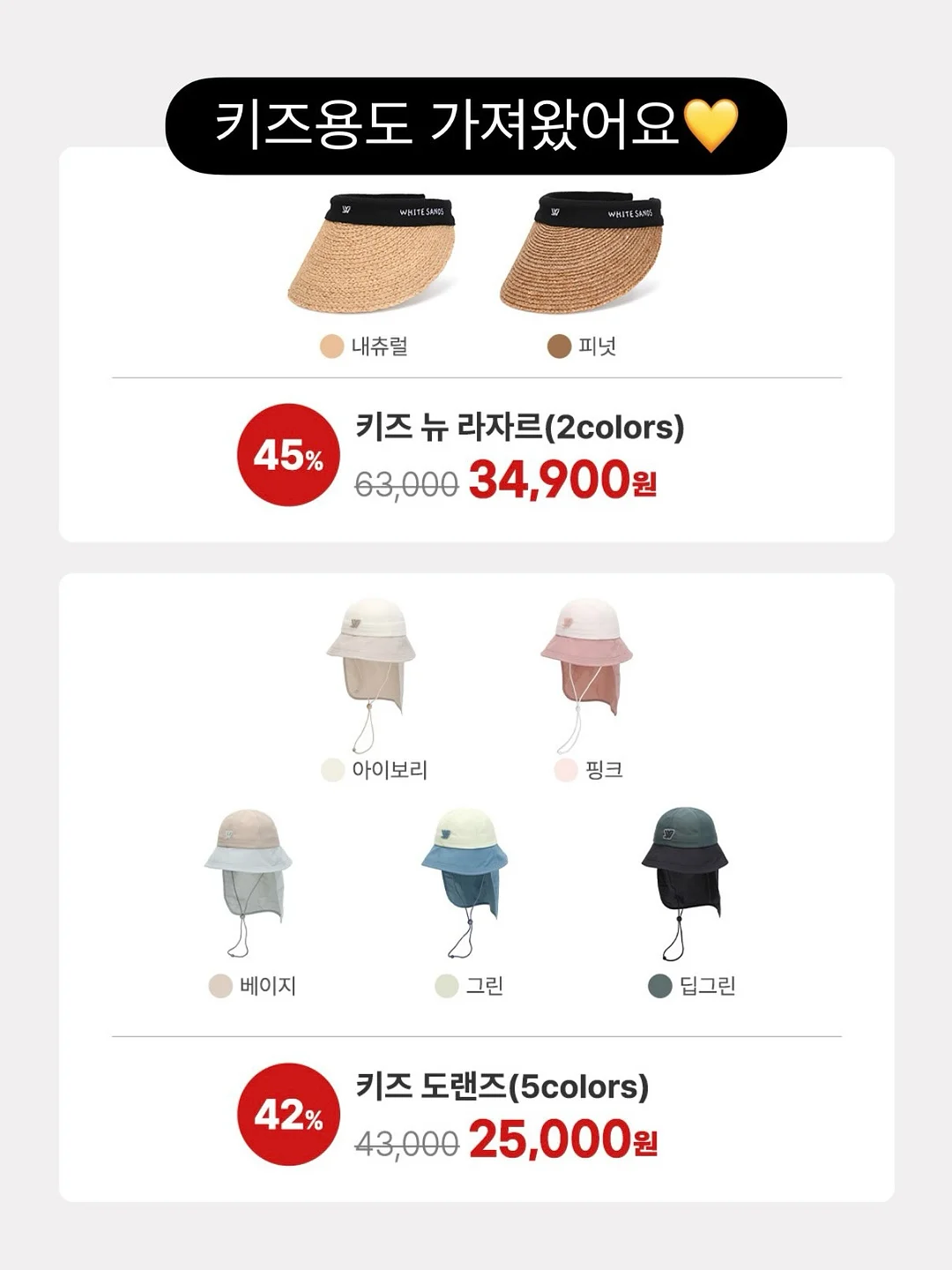 선인장 11