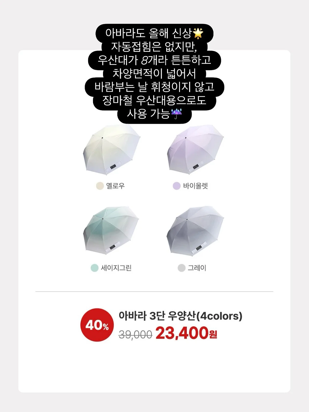 선인장 7
