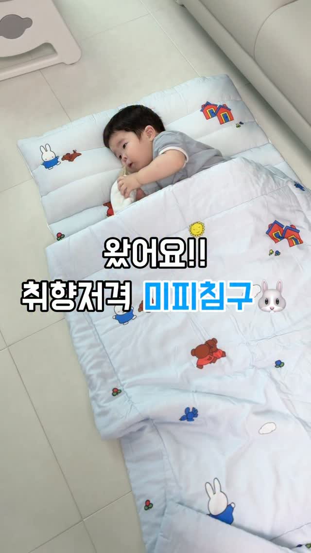 더블핏 프로바이오틱스 가루형 유산균 + 일동 포스트바이오틱스