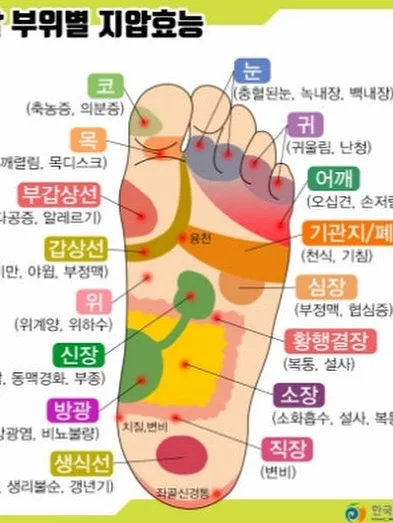 산리오 키티 가죽지갑 4