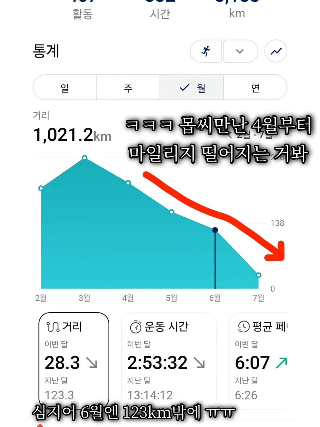 모시명태 4