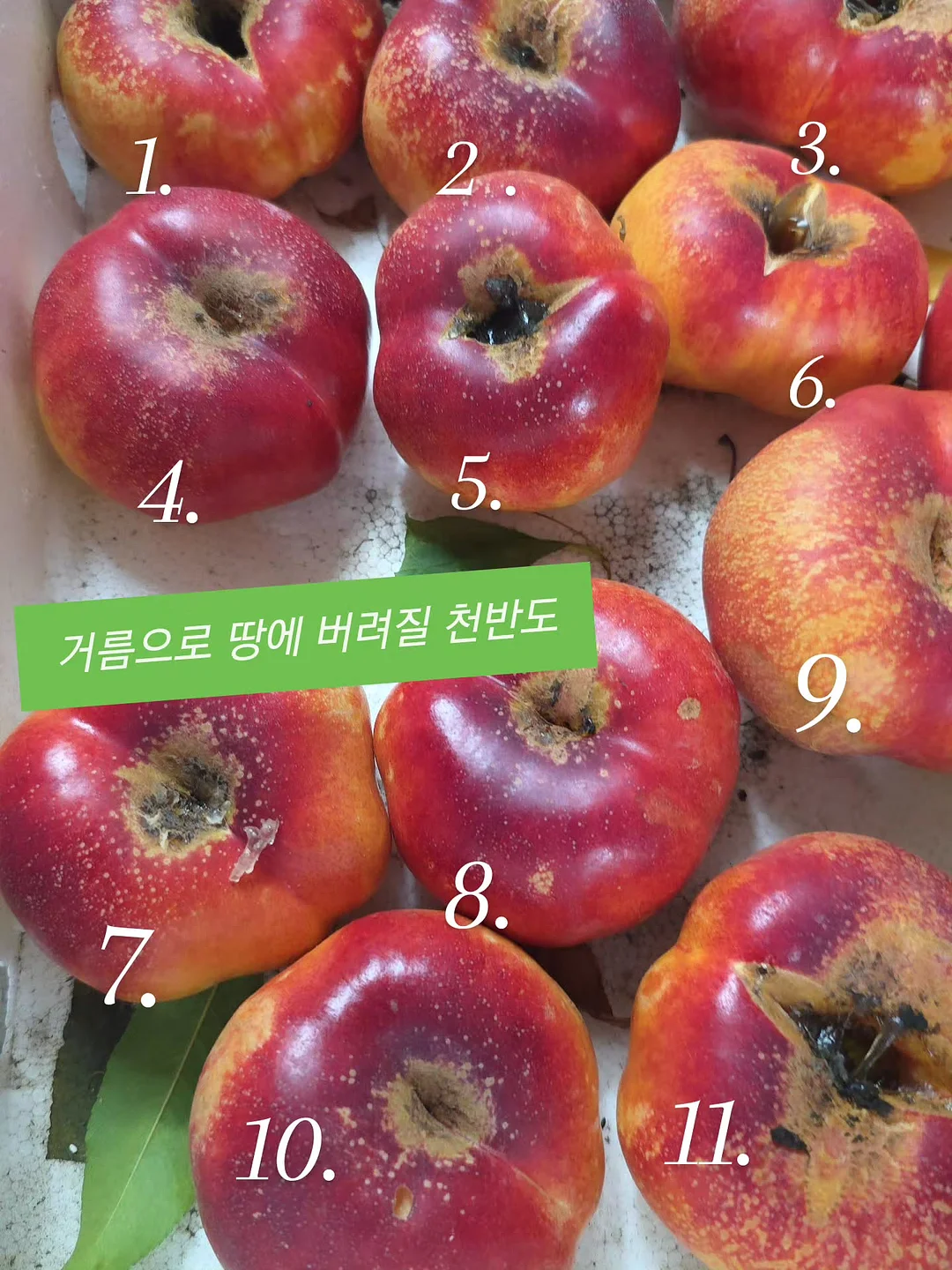 보조 모니터 2