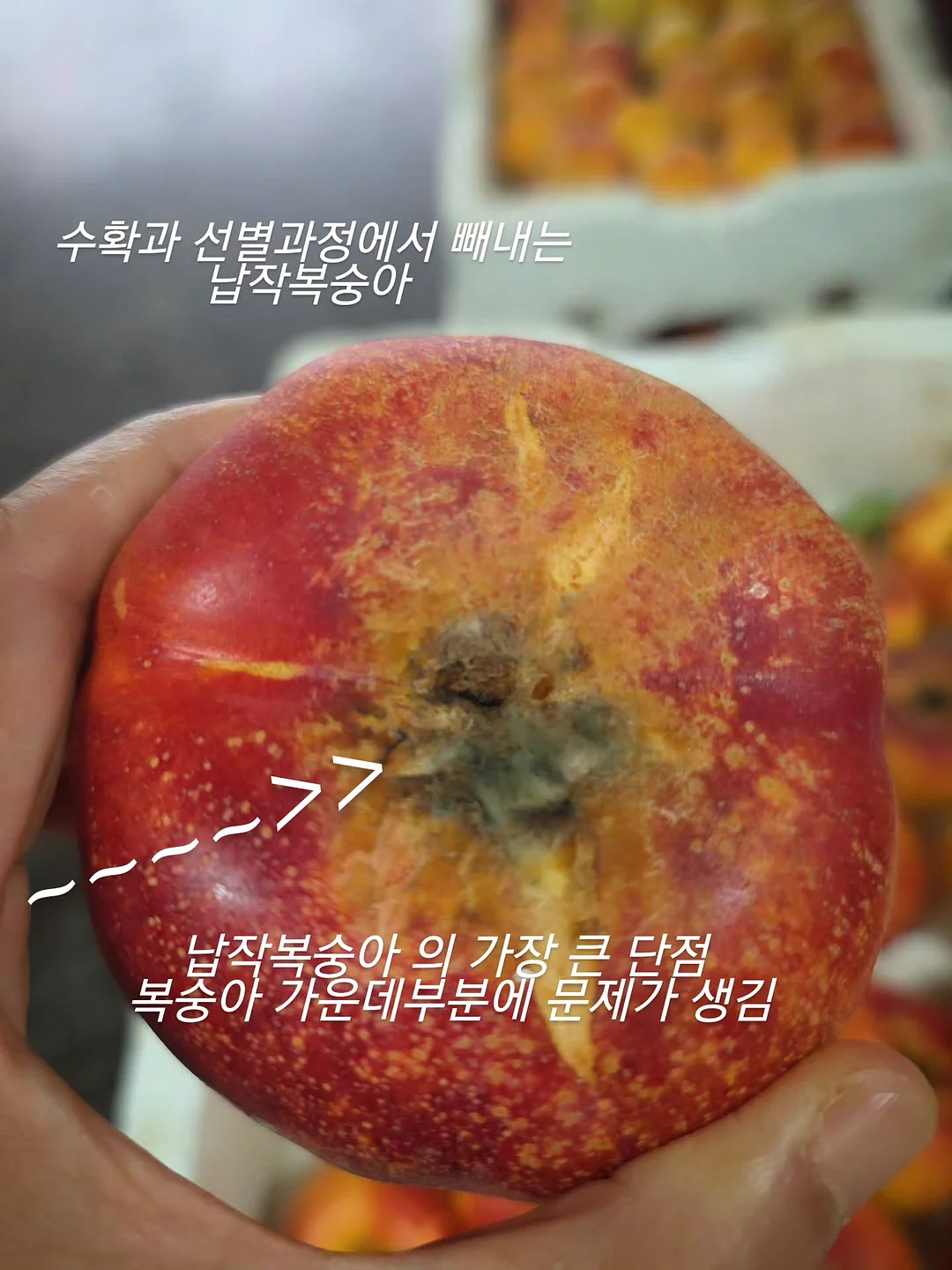 보조 모니터 4