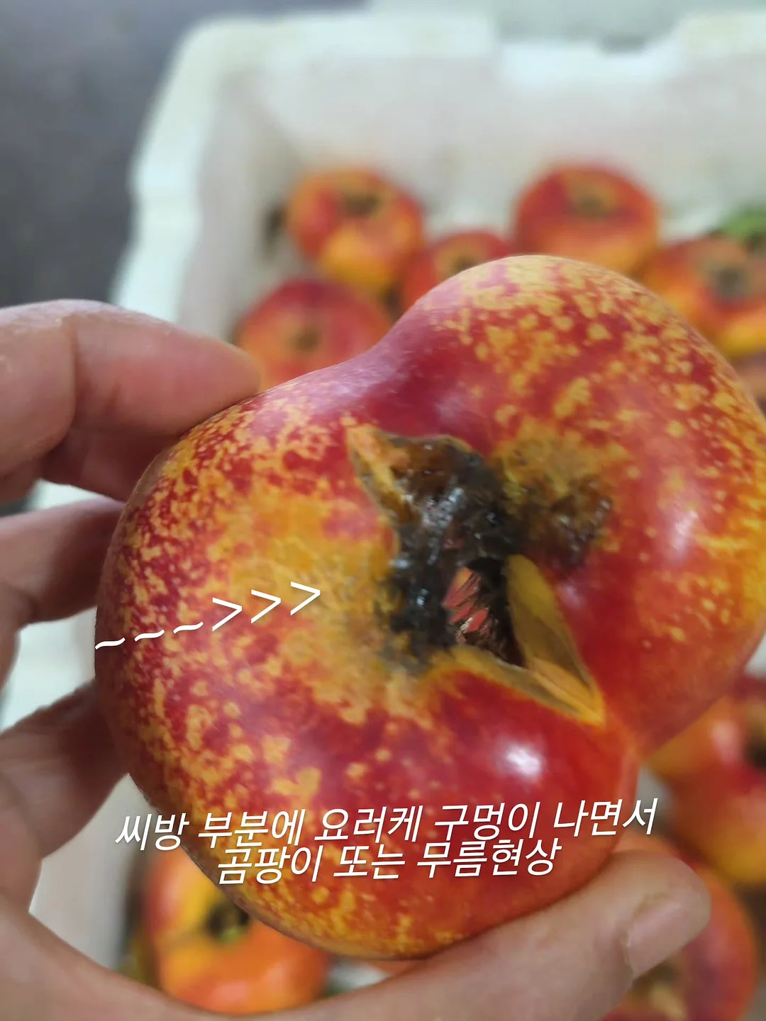 보조 모니터 5