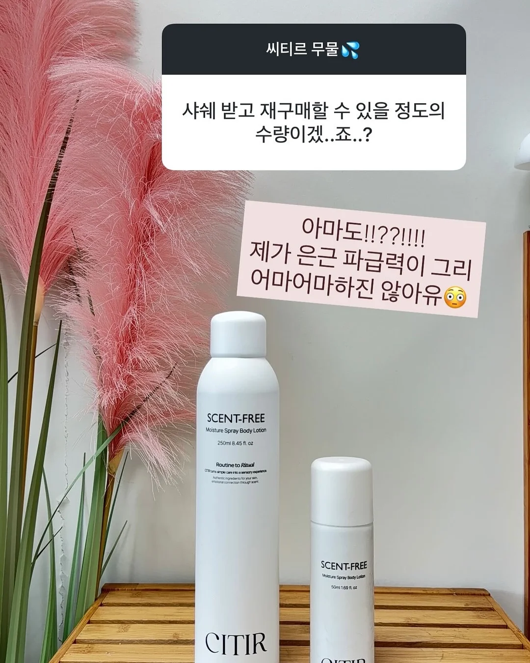 베리쿡 유아반찬 11