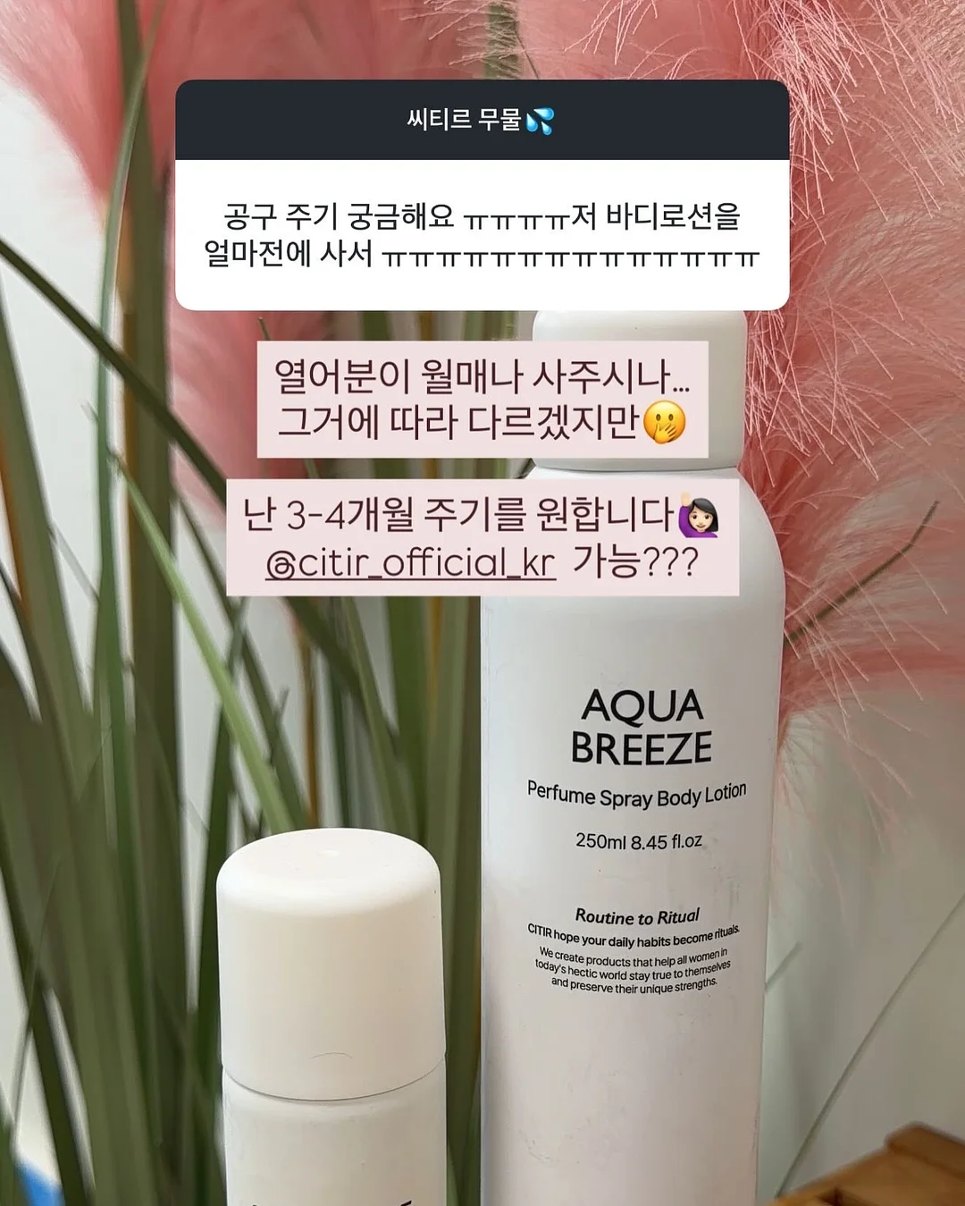 베리쿡 유아반찬 6