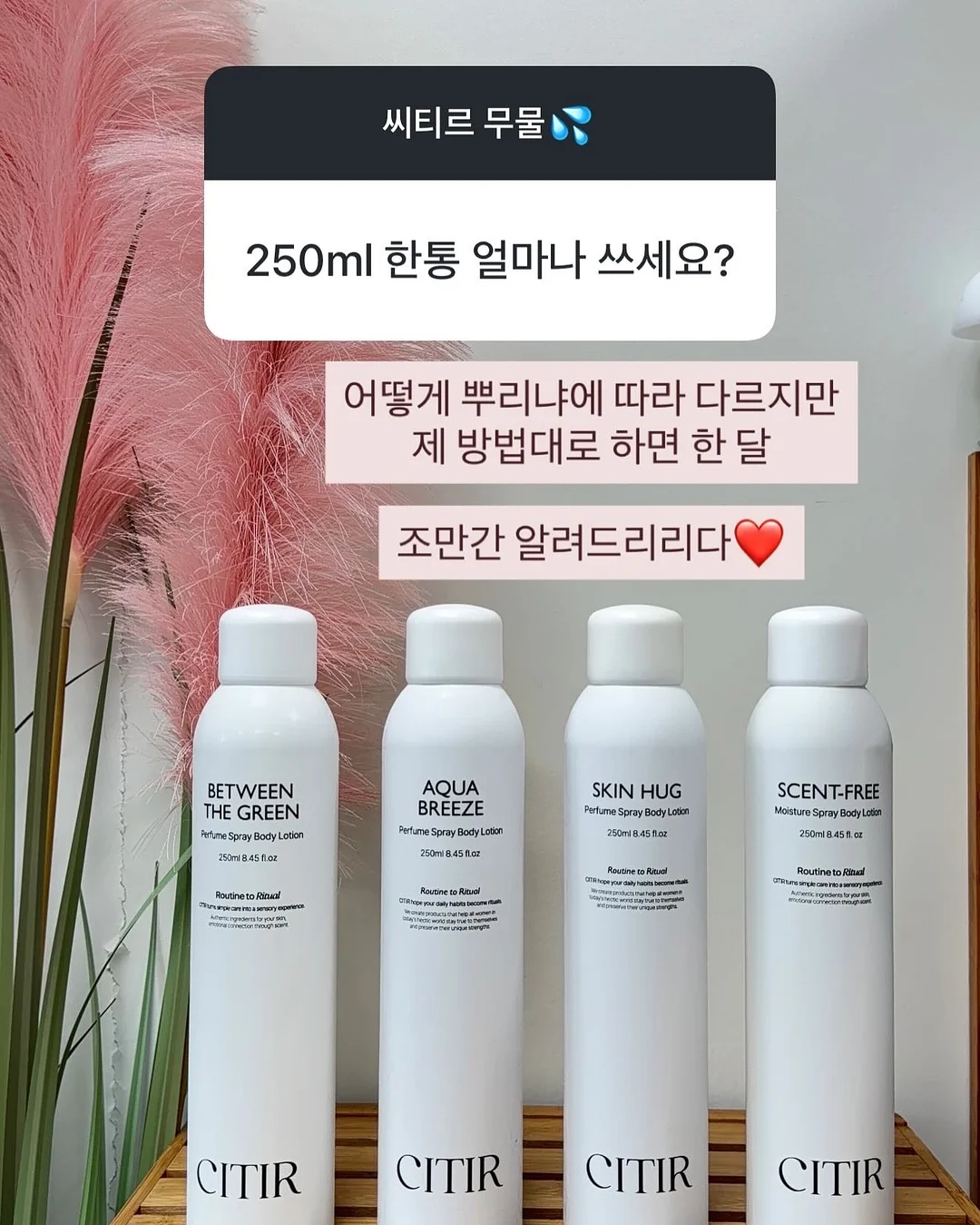 베리쿡 유아반찬 10